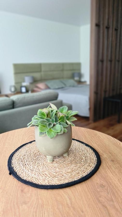 Mona Apartamentai Telšiai Kültér fotó